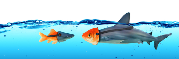 TrickBot Spreading Actively, Launches Phishing Schemes