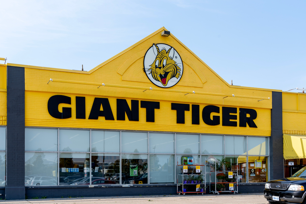 Canadian Discount Retailer Giant Tiger Says Customer Data Was