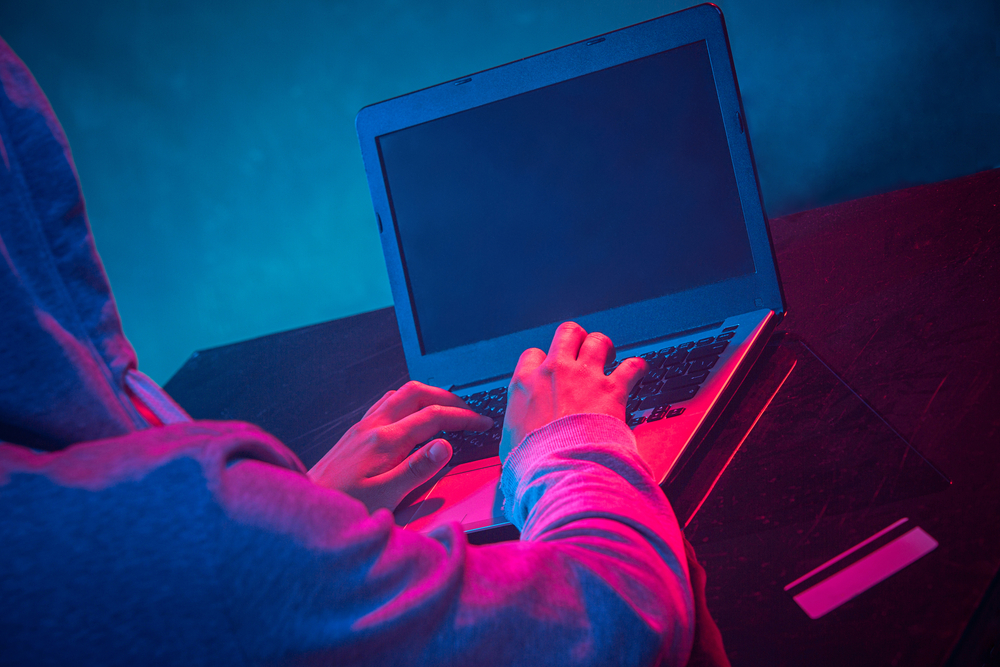 The Kraken Stirs - New Botnet under Development