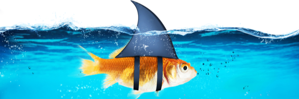 CronRAT Abuses Linux Task Scheduler to Stay Under the Radar