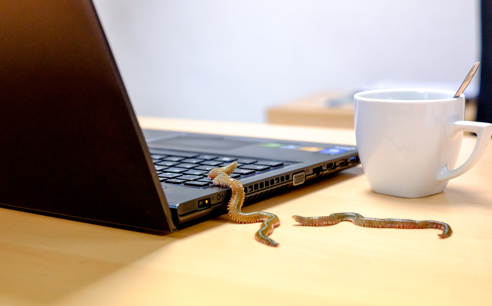 MountLocker Using Windows API to Spread as Worm