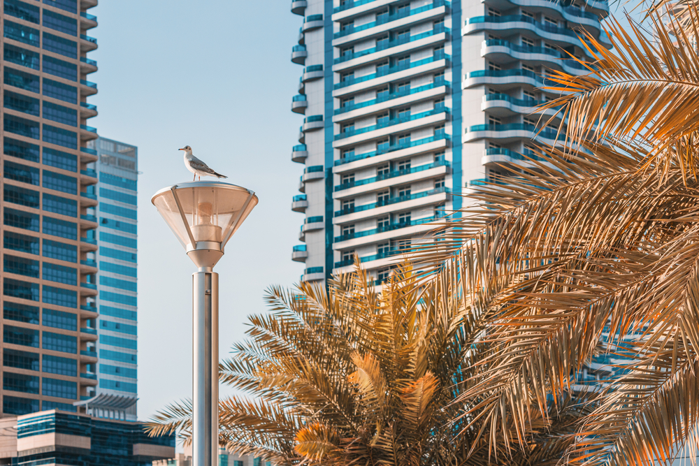 RatMilad Spyware Attempts To Penetrate Middle Eastern Enterprises