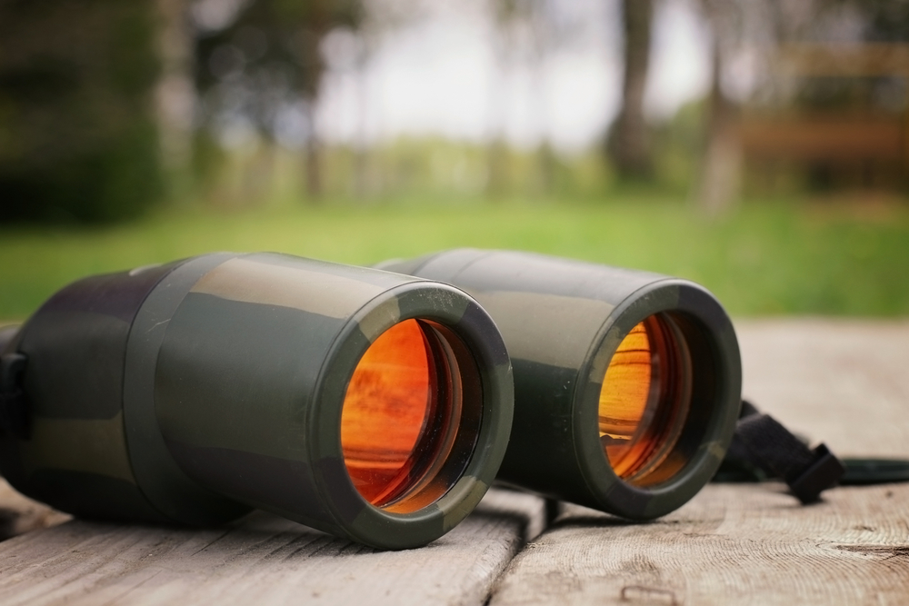 Spyware Targets Android and iOS Users in Italy and Kazakhstan