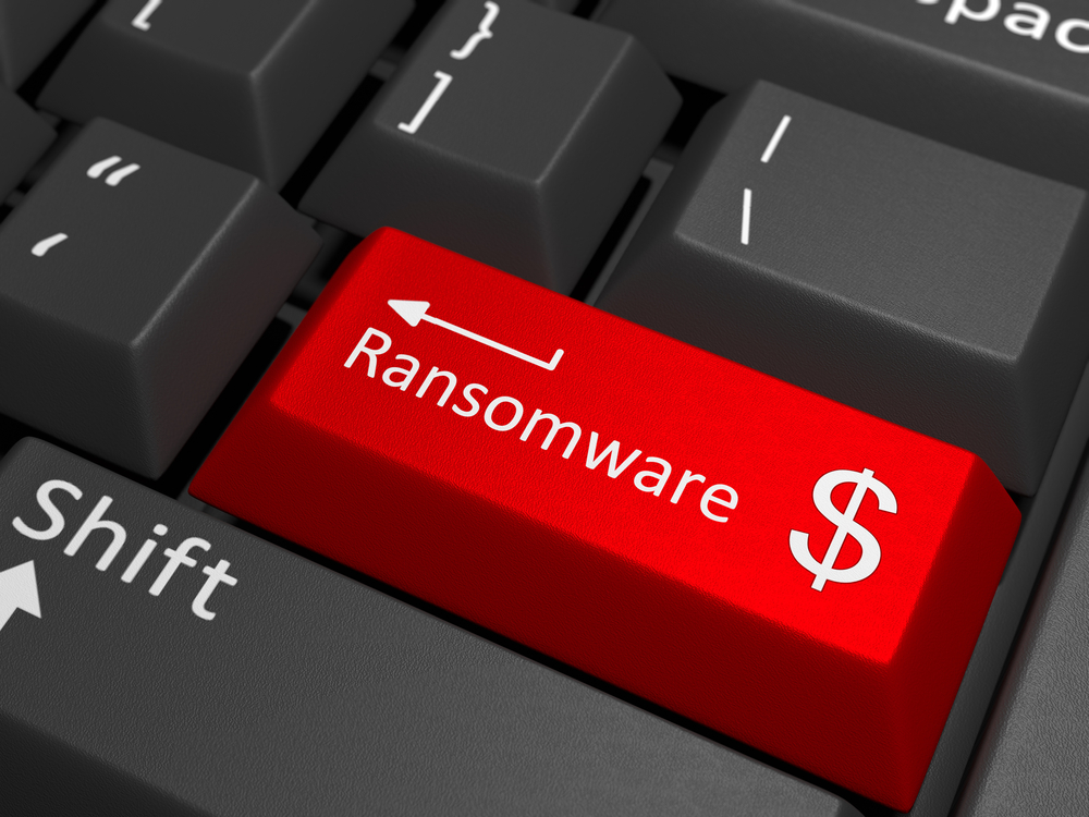 Bumblebee Buzzes to Forefront of Ransomware Ecosystem